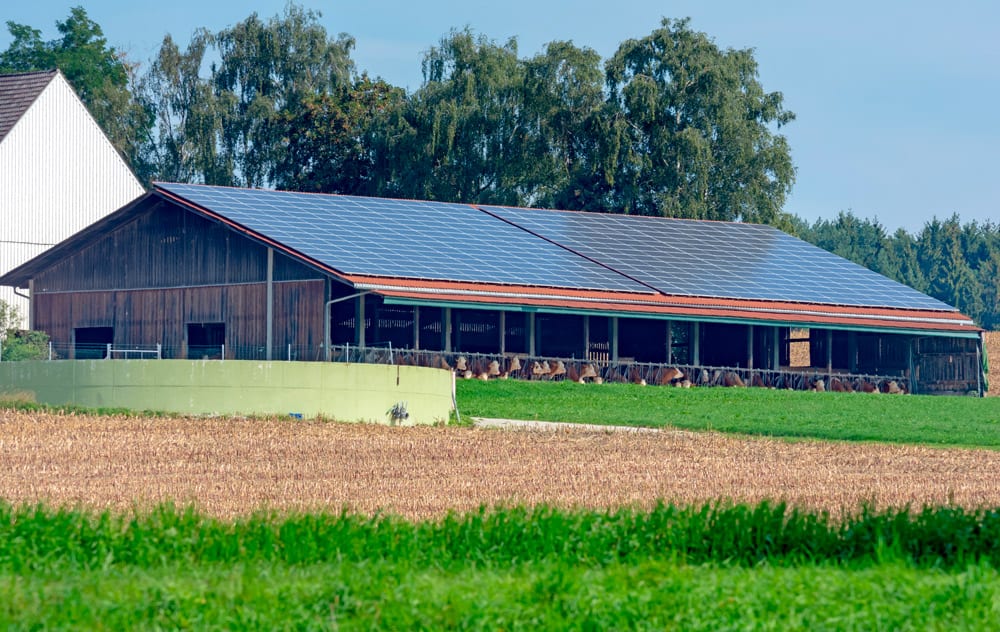 panneaux solaire sur bâtiments agricoles